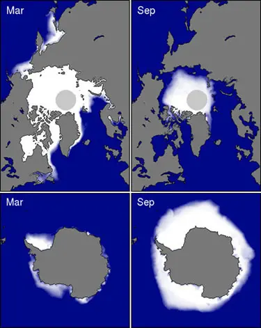 Karta över Arktis under månaderna mars och september och Antarktis under månaderna februari och september.