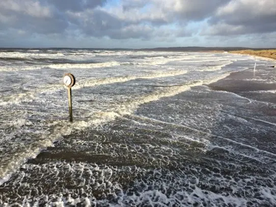 Strand vid Tylösand.