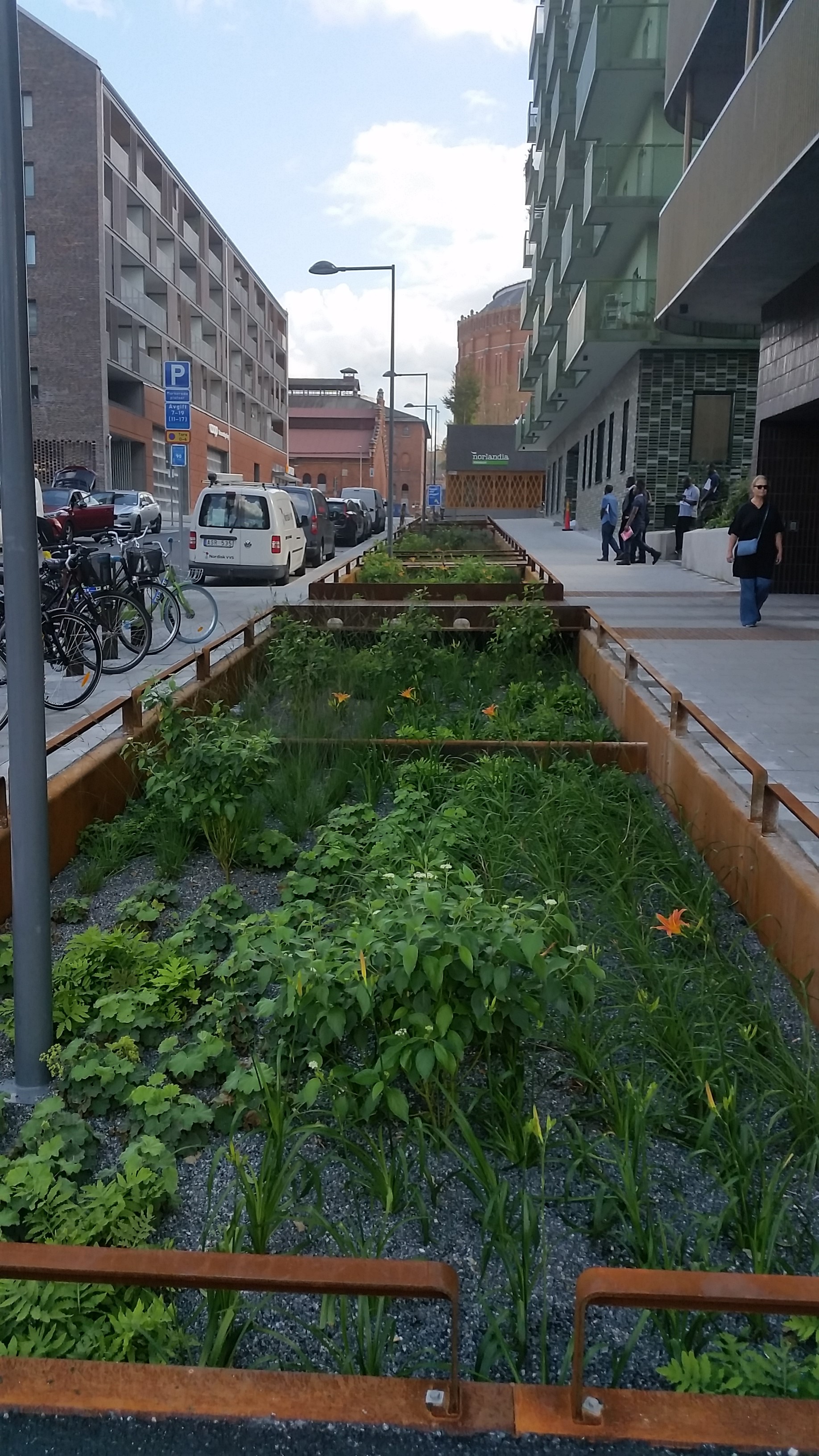 Planteringar i gatumiljö som urban grön infrastruktur i Stockholm.