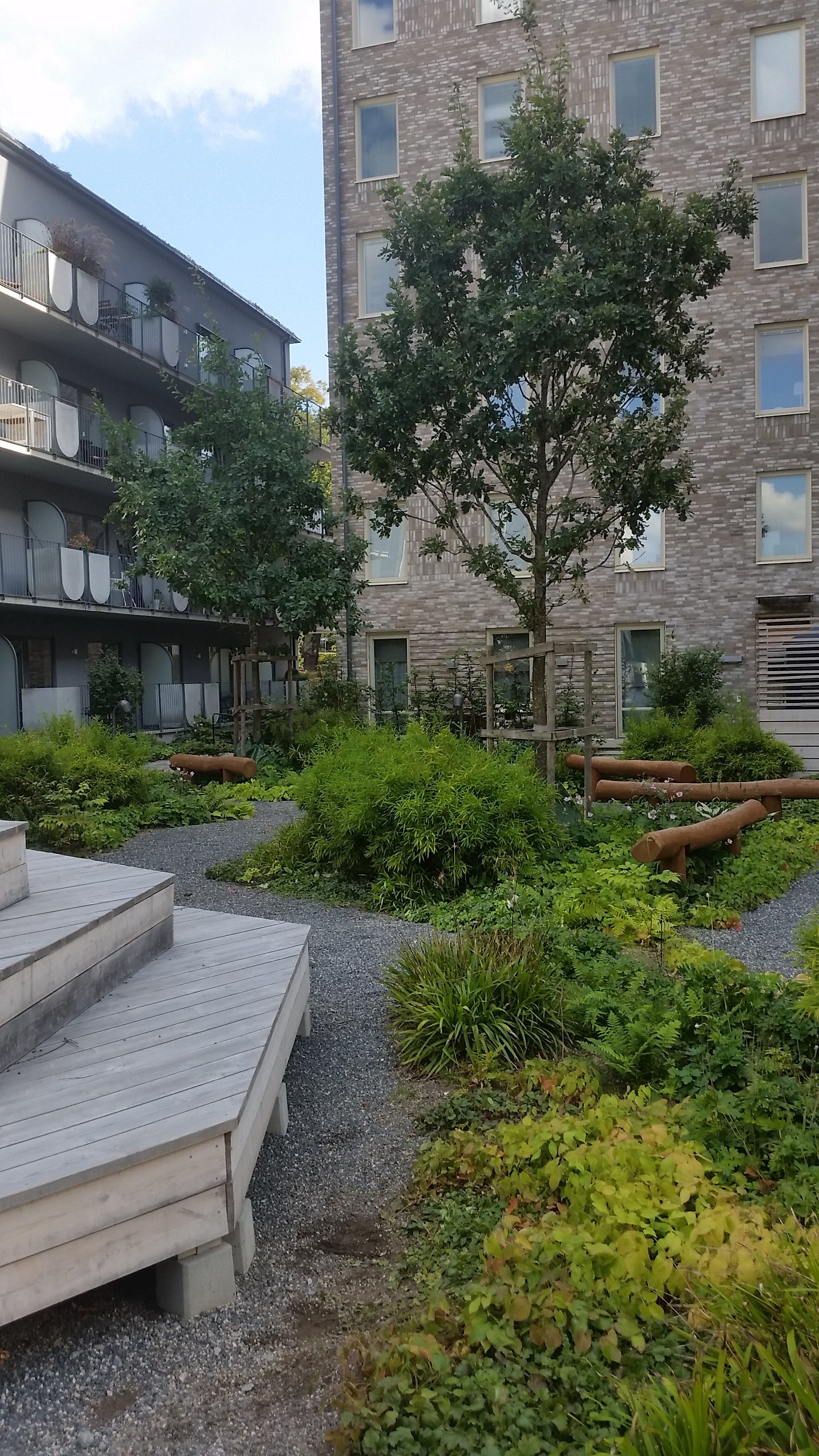Träd och buskar i stadsmiljö Stockholm.