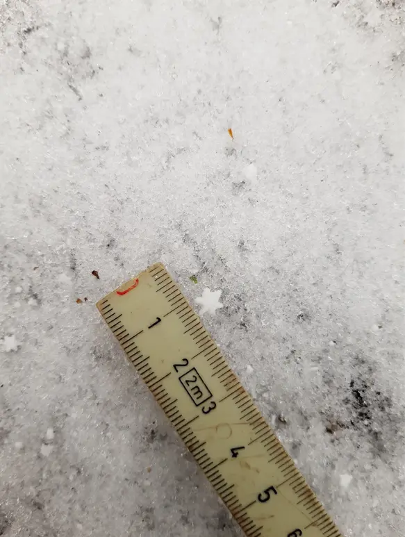 Bilden visar en ovanlig enkelt sexuddig snöflinga.