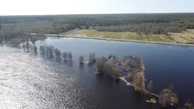 Älven svämmar över sina bredder.