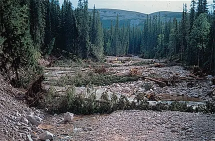 Erosion efter skyfallet på Fulufjället