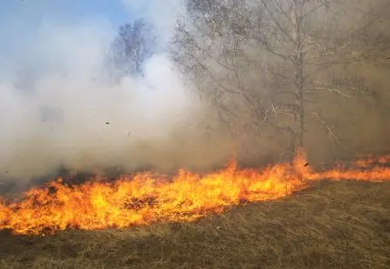 Gräsbrand på våren