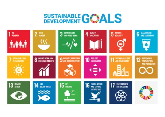 The Sustainable Development Goals.