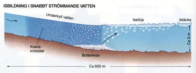 Beskrivning av hur isbildning sker i snabbt strömmande vatten. 