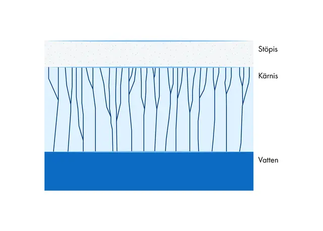 En bild som visar hur kärnis och stöpis ser ut