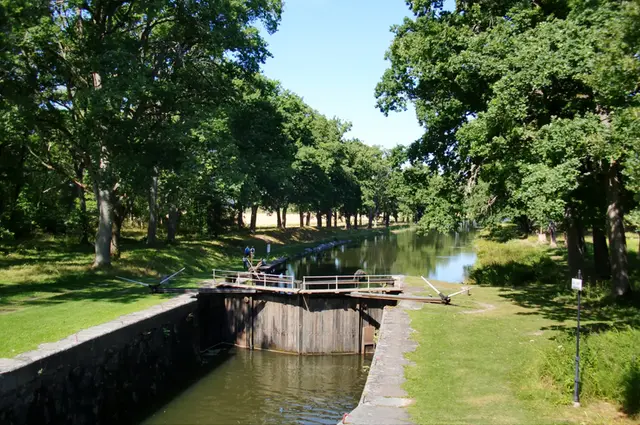Liten trädsluss i grönska.