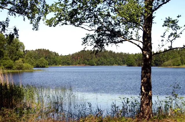 Sjön Bolmen