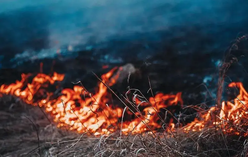Brand i torrt gräs.
