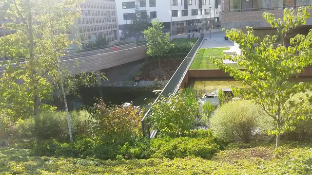Grön infrastruktur i Norra Djurgårdsstaden, Stockholm.