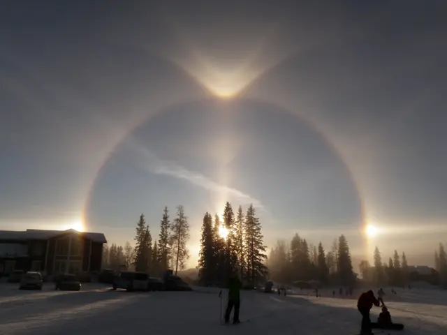 halo moilanen