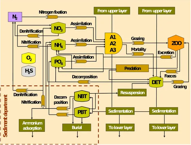 En schematisk figur som visar proocesser i SCOBI modellen.
