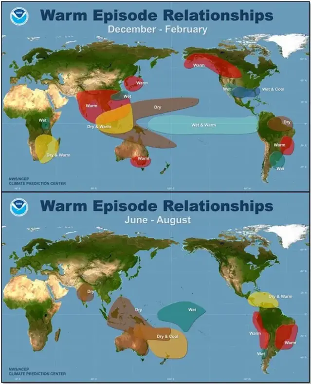 Figur 20 Typiska avvikelser från det normala klimatet (vädret) runt om i världen under en El Niño.