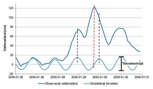Tidvatten Kungsvik