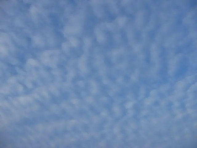 Foto tagen upp mot himmeln där molnen Altocumulus syns.