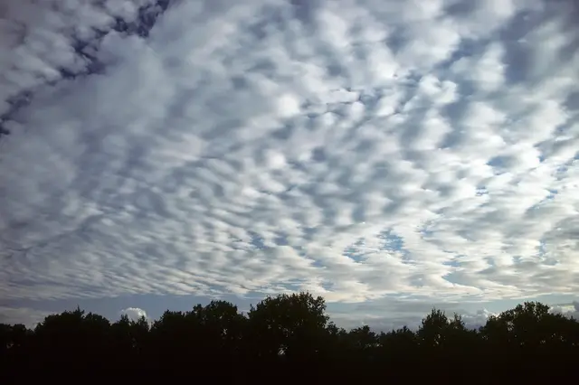 Foto upp mot himmeln där böljemolnen Altocumulus stratiformis syns.