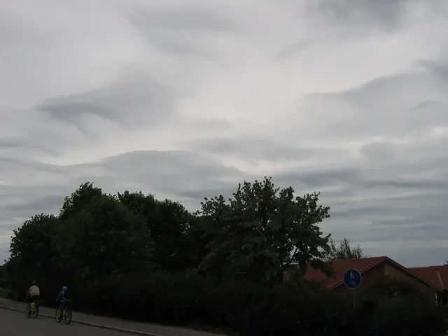 Foto upp mot himmeln där molnen Altocumulus asperitas syns.