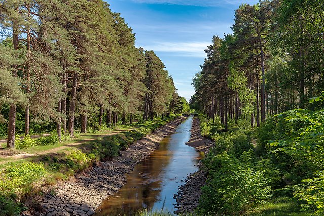Lågvatten i kanal som går genom skogen