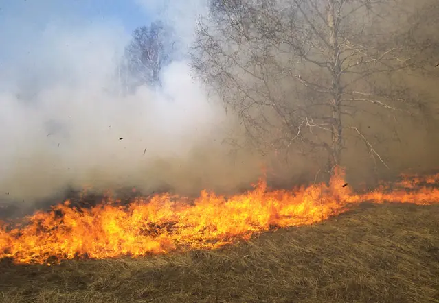 Brand i torrt gräs.