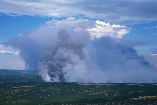 Rökplymen från en skogsbrand.