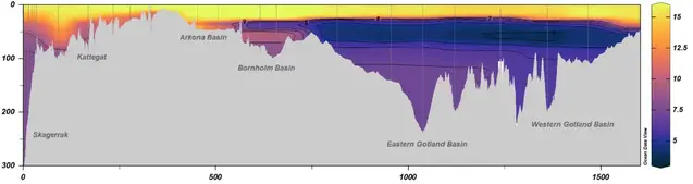 Temperaturskiktningen i haven runt Sverige ligger på 20-30 meters djup, diagram.