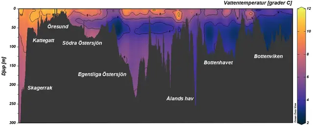 Medeltemperatur i Sveriges hav 1955-2018, diagram.