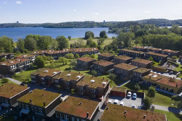 Flygbild över villaområde med hus med gröna tak (grästak).