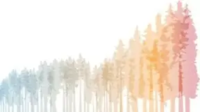 Svenska klimatsymposiets temabild (1).webp