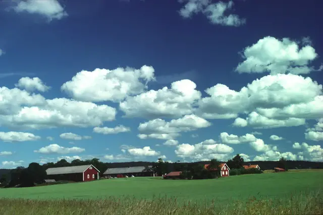 Foto taget på himlen där molntypen Cumulus humilis bildats.