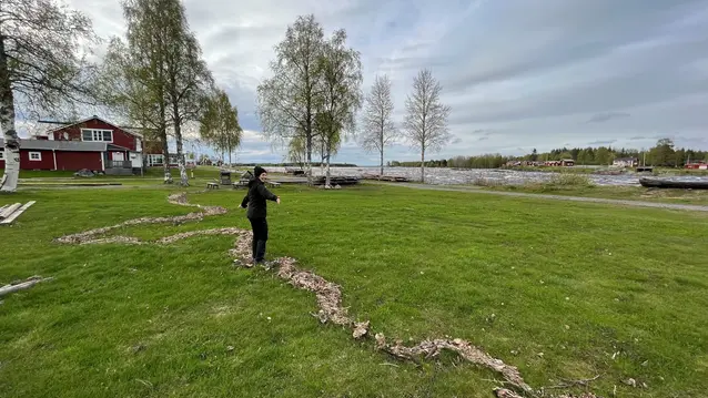Fälthydrolog visar rester efter den högsta nivån som vattendraget hade under översvämningarna