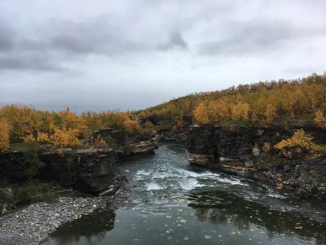 Abiskojokk
