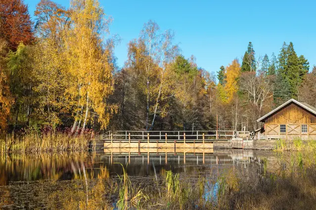 Höstlik skog runt damm och dammbyggnad