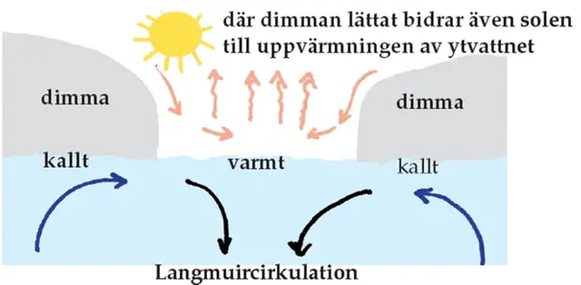 Illustration som visar en tänkbar förklaring till dimfenomenet