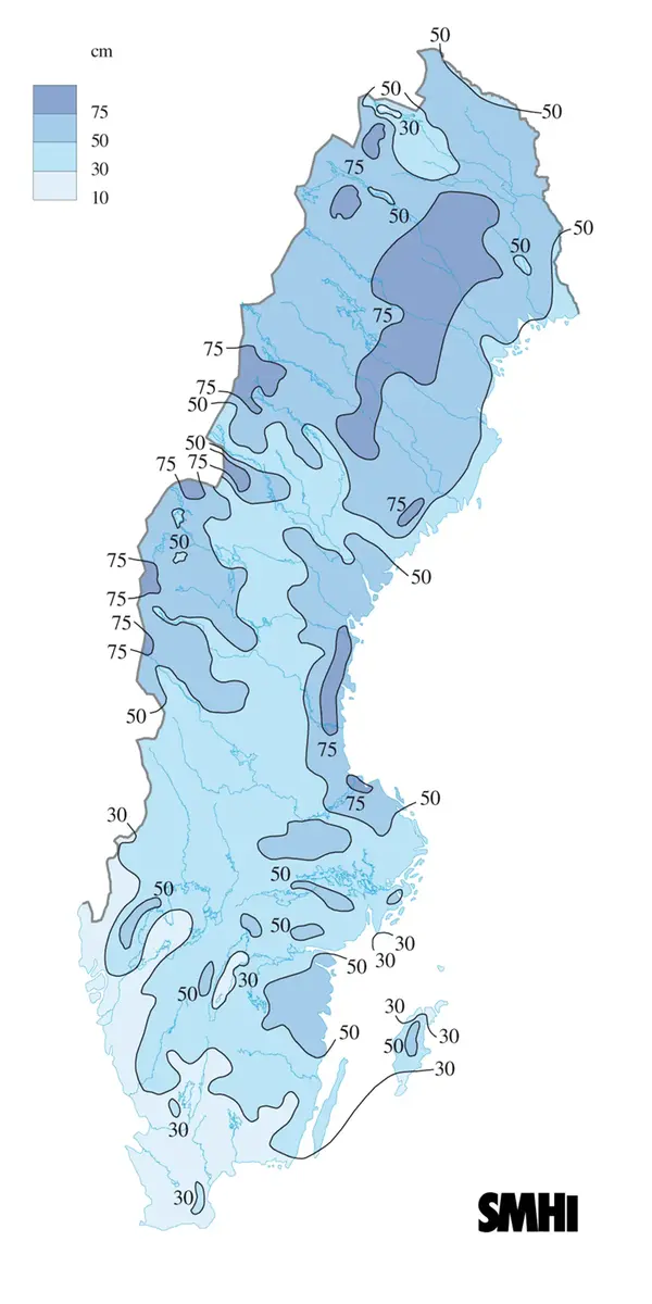 Snödjup 2010-01-31.