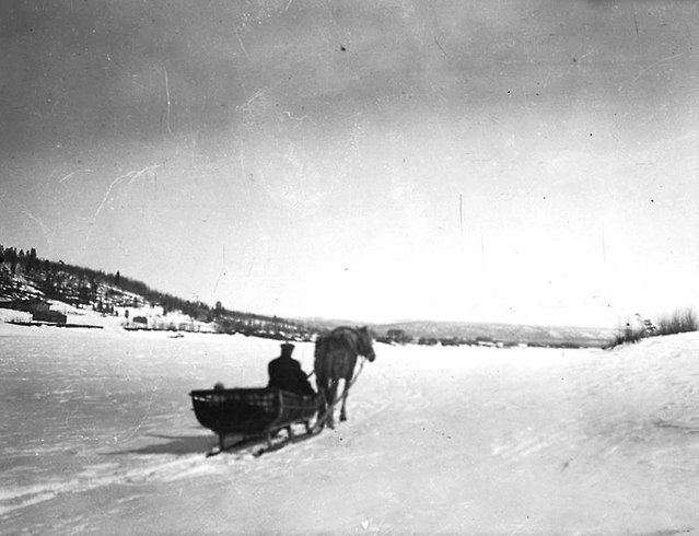 Gammal bild på släde med häst