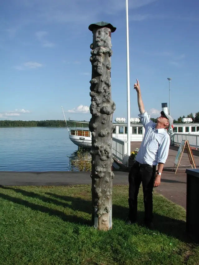 sommarväder med människa och pinne
