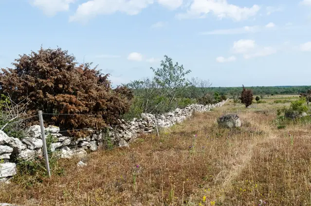 Torka Öland