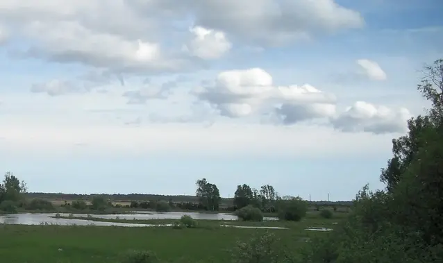 Lågt vatten i Bårbykärret