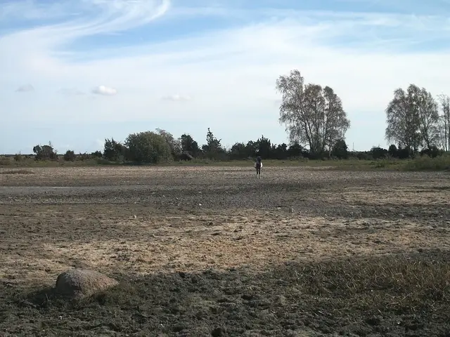 Uttorkad botten