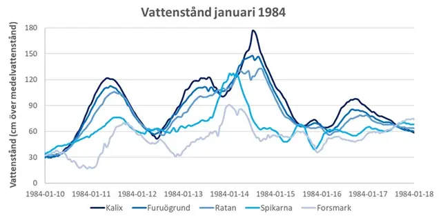 Diagram som visar vattenståndet vid fem oceanografiska mätstationer i Bottniska viken.